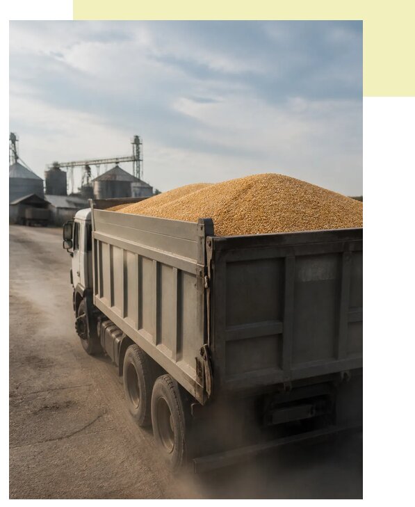 Перевозка сельхозпродукции навалом в Стерлитамак по цене от 3090 р. | Агросервис-Стм